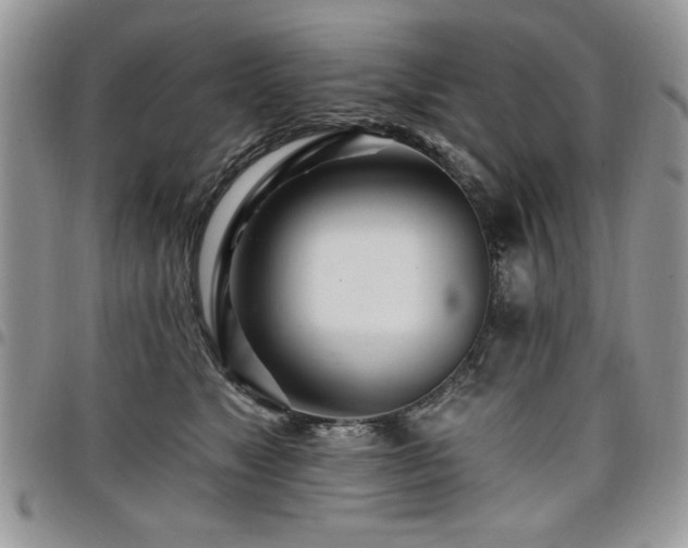 X0000098030517200803281412