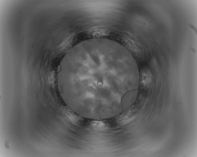 X0000098030519200803281412