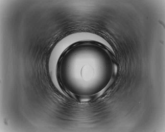 X0000098030520200803281412