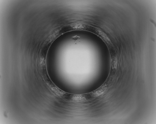 X0000098030521200803281412