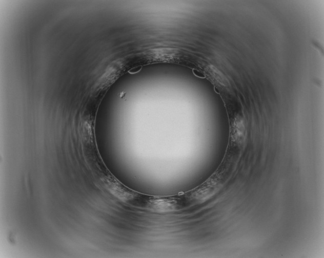 X0000098030522200803281412