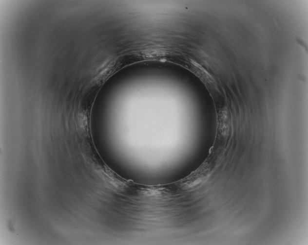 X0000098030523200803281412