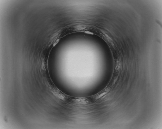 X0000098030524200803281412