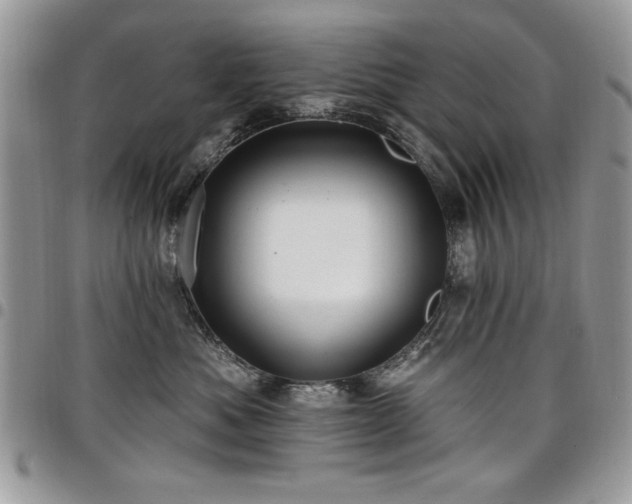 X0000098030525200803281412