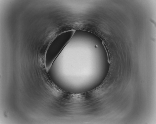 X0000098030528200803281412