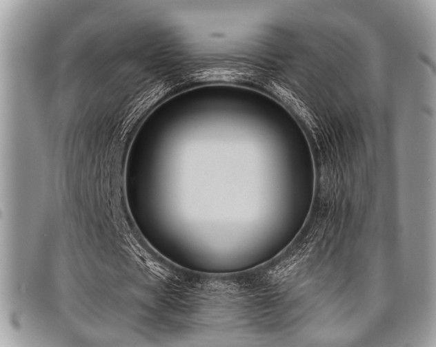 X0000098030529200803281411