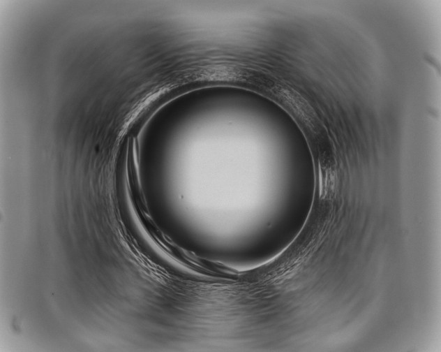 X0000098030531200803281411