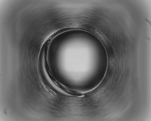 X0000098030532200803281411