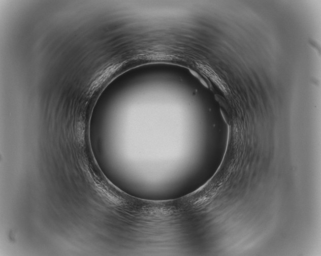 X0000098030533200803281411