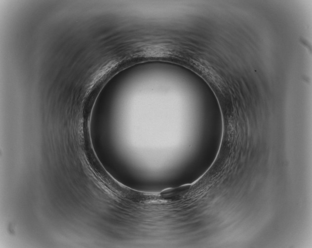 X0000098030535200803281411