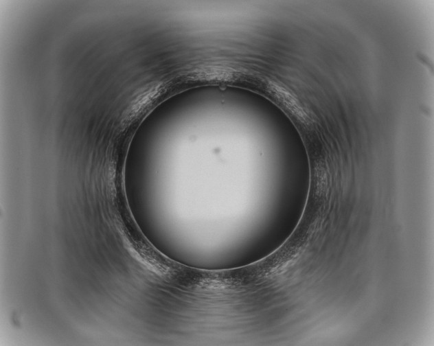 X0000098030538200803281411