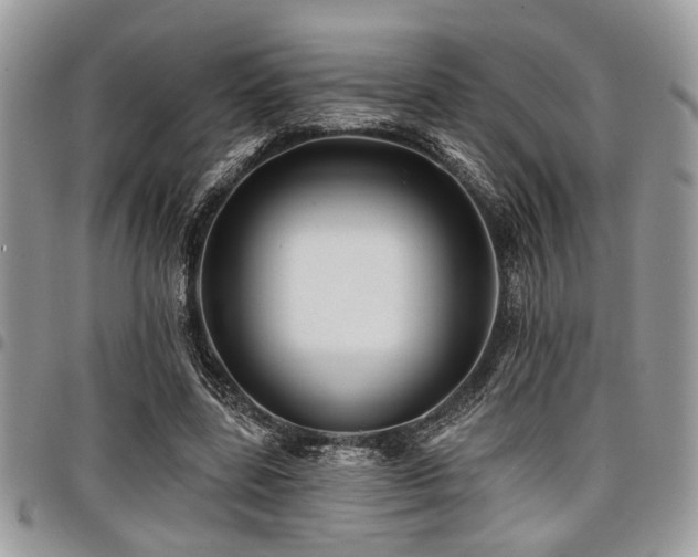 X0000098030539200803281411