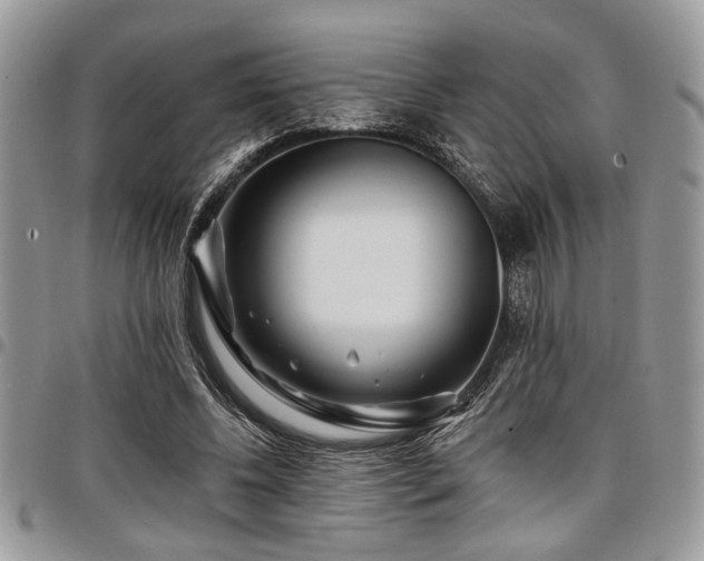 X0000098030540200803281411