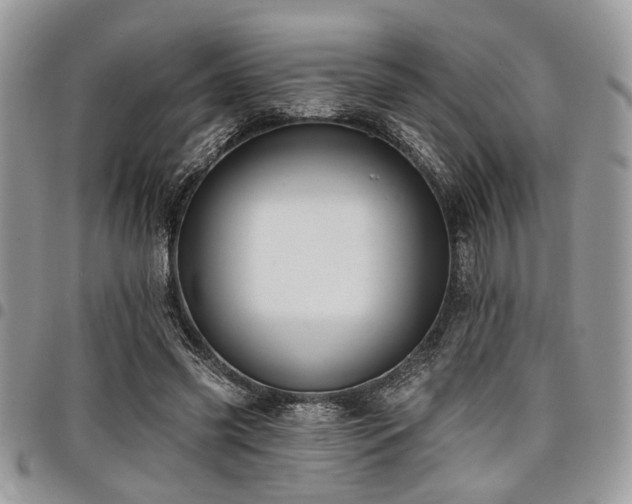 X0000098030541200803281411