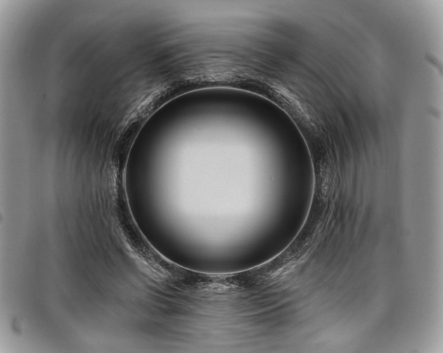 X0000098030542200803281411