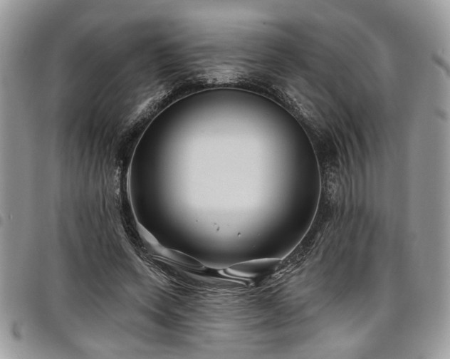 X0000098030543200803281411