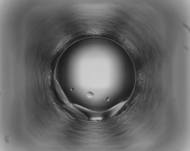 X0000098030544200803281411