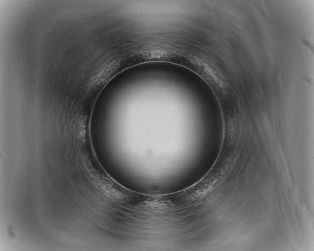 X0000098030545200803281411