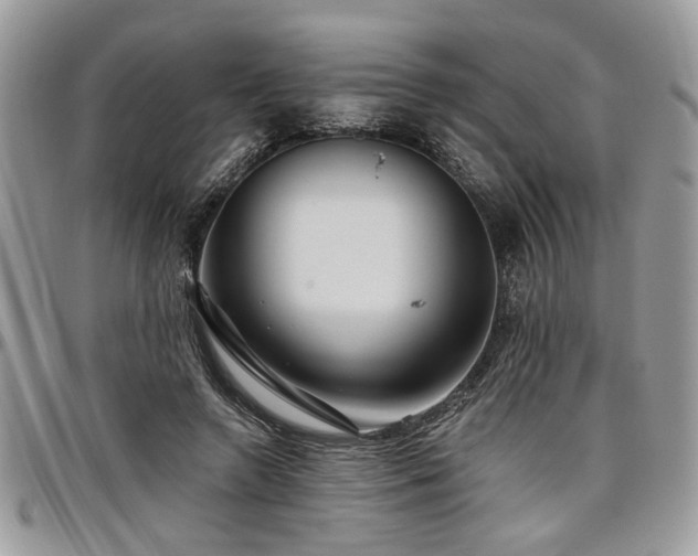 X0000098030546200803281411