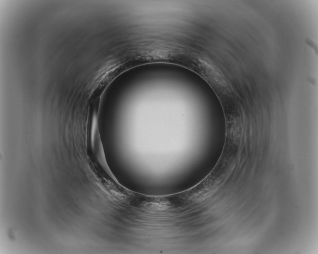 X0000098030548200803281411