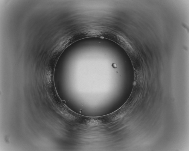 X0000098030549200803281411