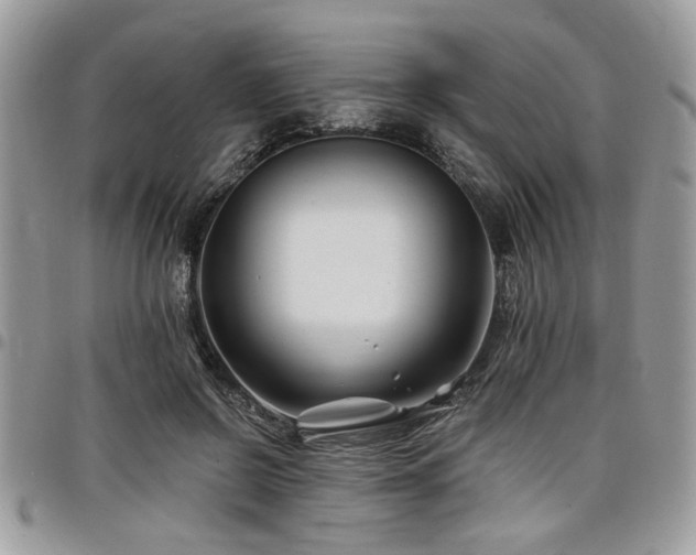 X0000098030550200803281411