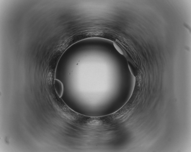 X0000098030551200803281411