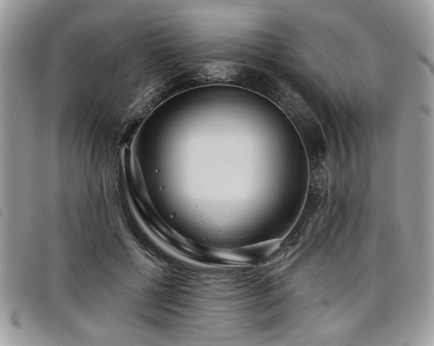 X0000098030552200803281411