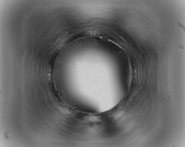 X0000098030553200803281411