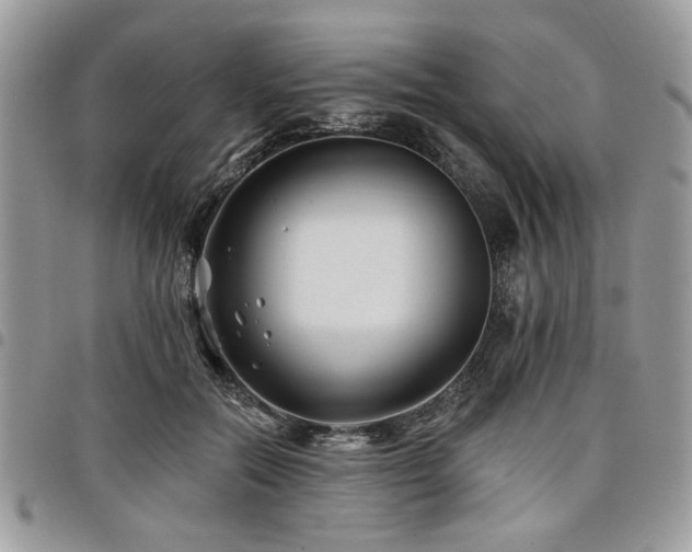 X0000098030554200803281411