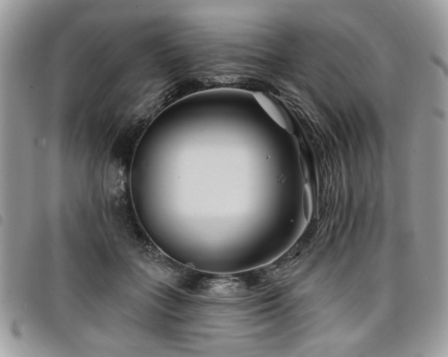 X0000098030555200803281411