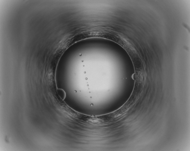 X0000098030557200803281411