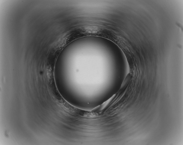 X0000098030559200803281411