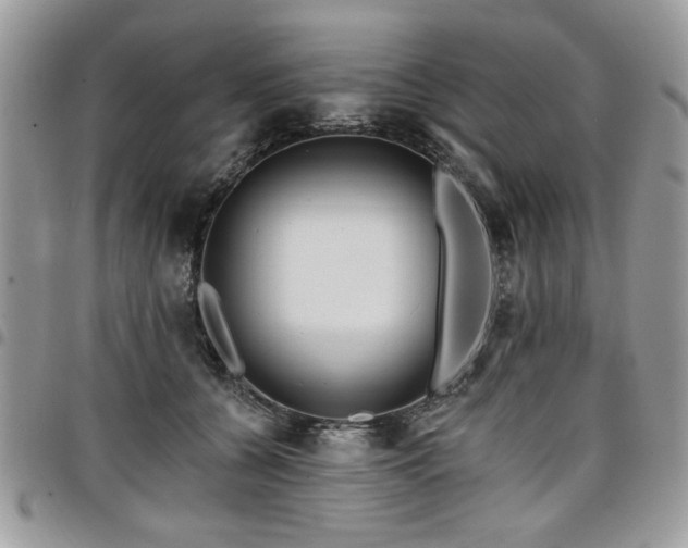 X0000098030560200803281411