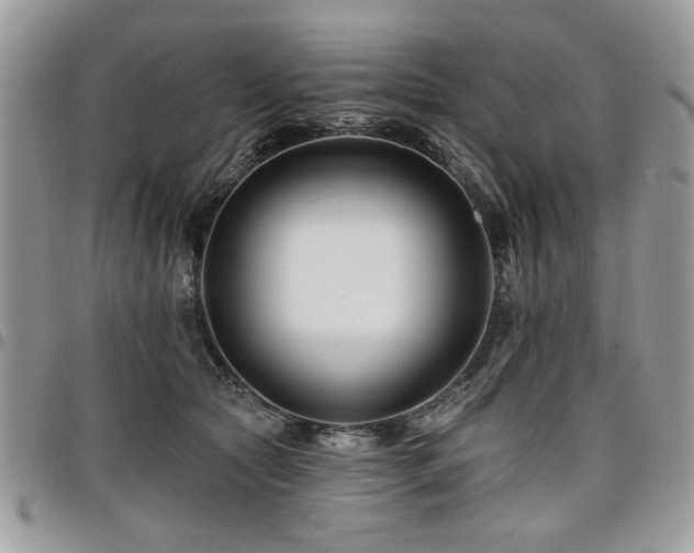 X0000098030561200803281411