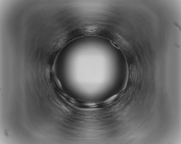 X0000098030562200803281411