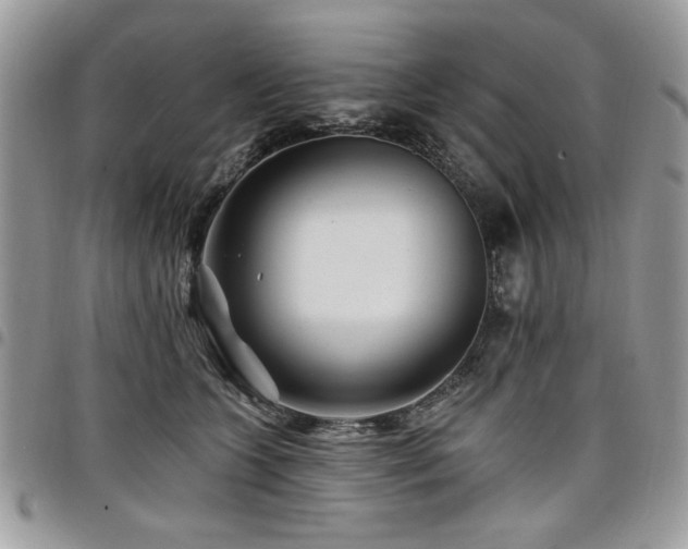 X0000098030563200803281411