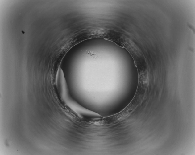 X0000098030564200803281411