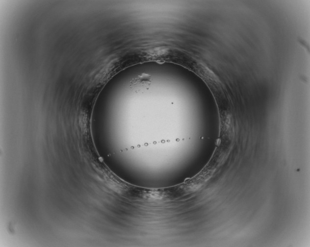 X0000098030565200803281411