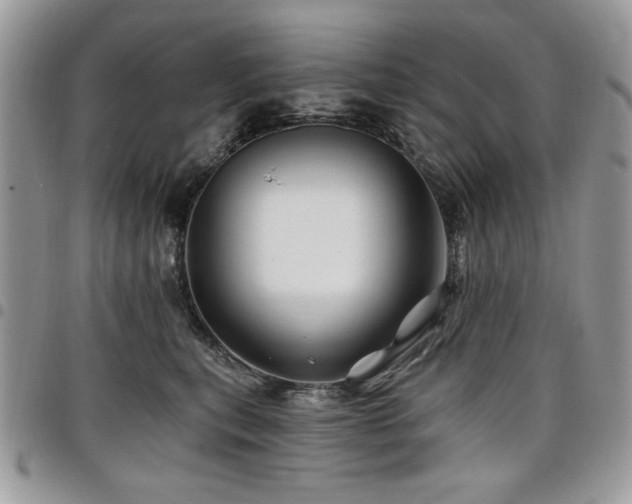 X0000098030567200803281411