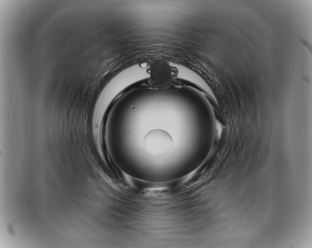 X0000098030568200803281411