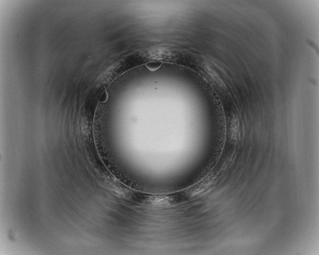 X0000098030569200803281411