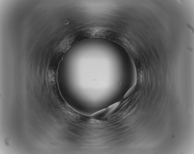 X0000098030571200803281411