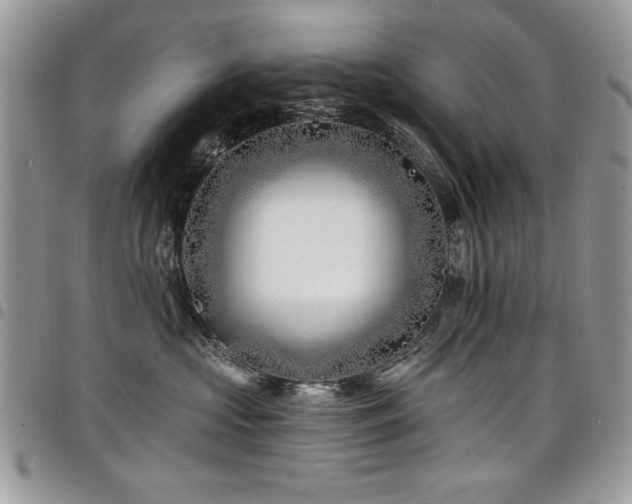 X0000098030573200803281411