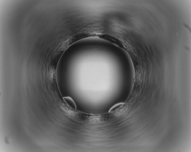 X0000098030574200803281411