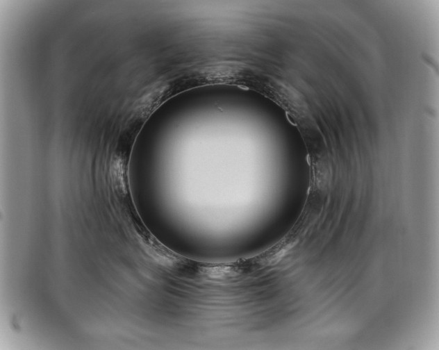 X0000098030575200803281411