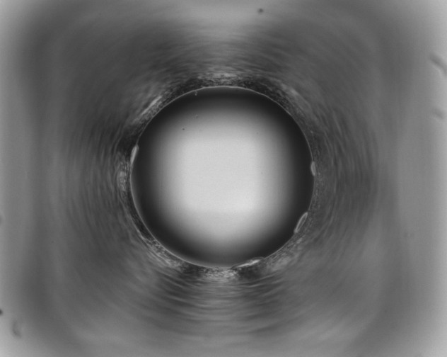 X0000098030576200803281411