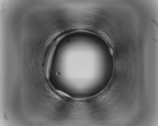 X0000098030577200803281411