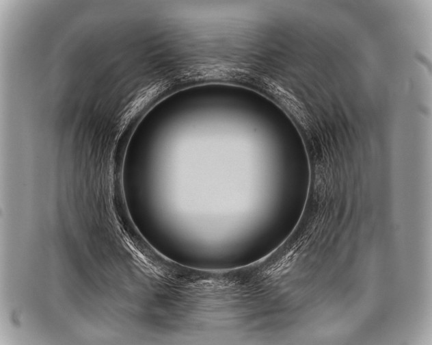 X0000098030578200803281411