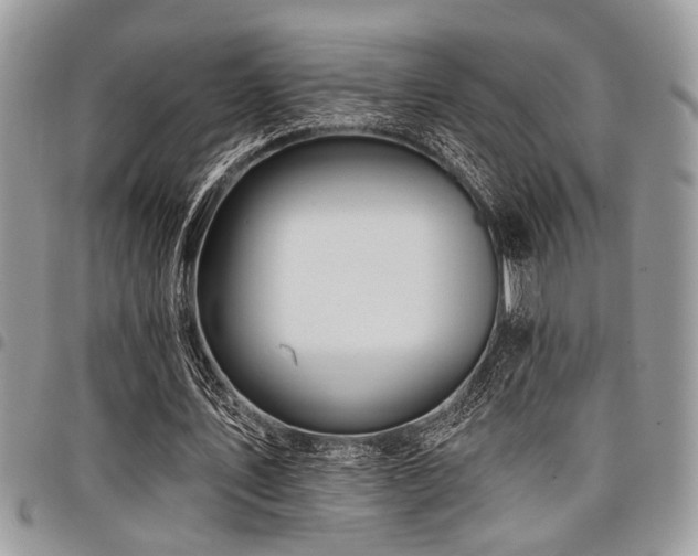 X0000098030579200803281411